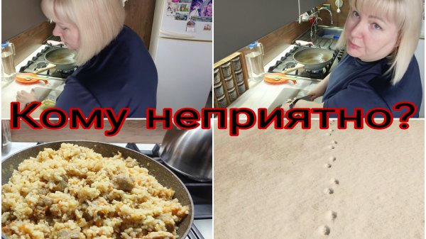 17-02-2026 Кому неприятно, тот не пишет * Плов * Увидела лису в городе 🦊