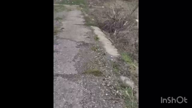 Катя Сочи. Алеутики бухают с новой хозяйкой смотреть онлайн