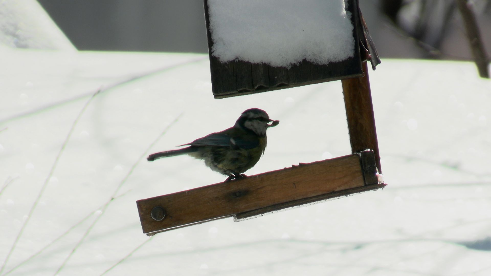 СКВОЗЬ СУГРОБЫ НА РАБОТУ смотреть онлайн