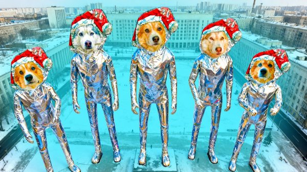 МЫ МЕГА ГУГУ ГАГА!! Корги Кекс Говорящая собака