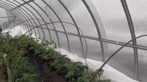 Сколько стоит ночь обогрева теплицы Инфракрасным обогревателем У всех по разному У меня 64 рубля