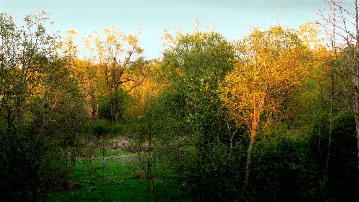 Весна. Первый день в деревне... смотреть онлайн