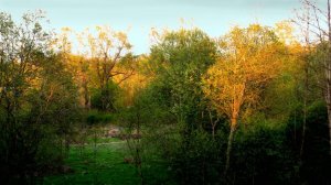 Весна. Первый день в деревне...