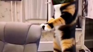 занимаюсь хуйн**