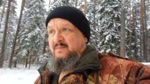 Ноябрь в лесу