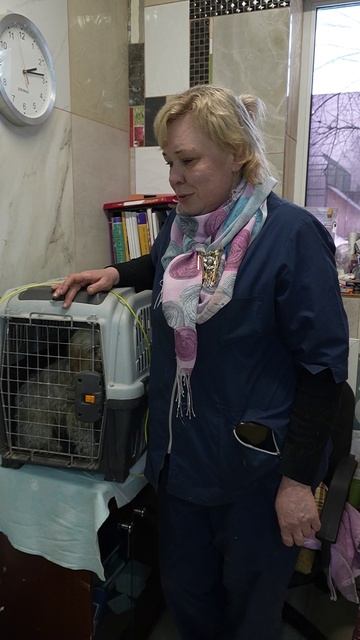 Нам нужна клетка для перевозки собак!