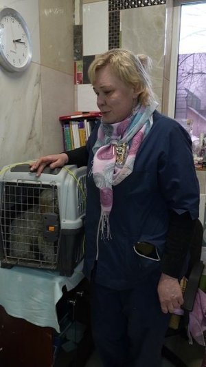 Нам нужна клетка для перевозки собак!