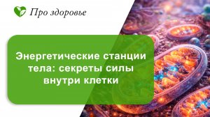 Энергетические станции клетки