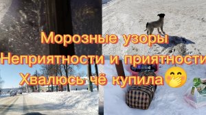 МОРОЗНЫЕ УЗОРЫ.НЕПРИЯТНОСТИ и ПРИЯТНОСТИ.Хвалюсь чё купила.День 17.02.26.в дороге