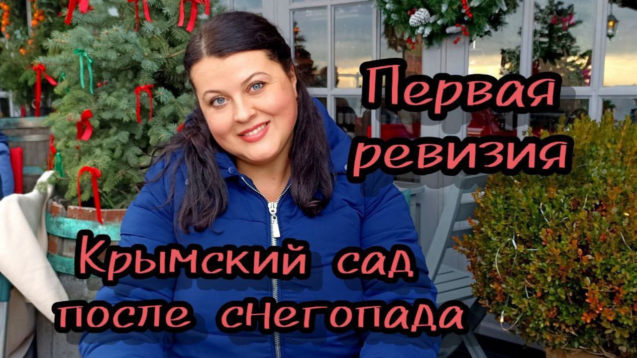 Погодные _качели_. Смотрим последствия снежного коллапса в Крымскому саду .