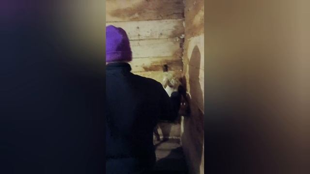 17-02-2026 Ностальгия по моим козочкам. смотреть онлайн