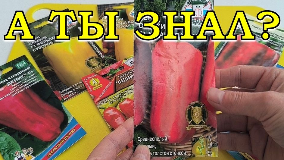 Эти ПЕРЦЫ буду выращивать в 2026 году (ЛУЧШИЕ из ЛУЧШИХ) 🔥🔥🔥 смотреть онлайн