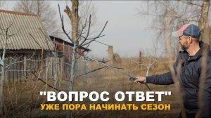 РУБРИКА "ВОПРОС-ОТВЕТ": Про обработки и подкормки сада, огорода и рассады.