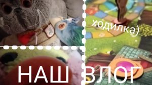 НАШ ДЕНЬ У БАБУШКИ!!!  ВЛОГ С МИЛКОЙ И БАСИКОМ ♡)