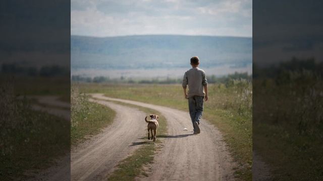 Не печалься собака