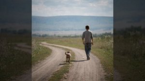 Не печалься собака