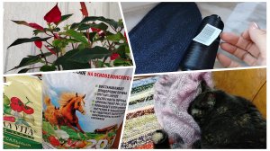 Или люди такие, или я ничего не понимаю🫤🤔