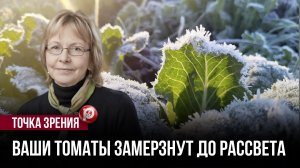 Майские заморозки уничтожают урожай — одна ошибка весной обходится слишком дорого