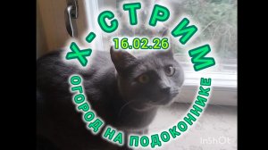 Огород - на подоконнике. Сретенье. Подготовка к дачном сезону.