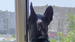 взорви базу челлендж 💥