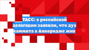 ТАСС: в российской делегации заявили, что дух саммита в Анкоридже жив