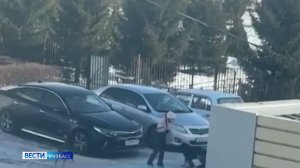 Следком расследует ЧП с нападением бродячих собак на беловчан