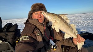 ТОЛЬКО ПРИЕХАЛ И СРАЗУ ПОПАЛ НА ТРОФЕЙ! РЫБАЛКА  НА СУДАКА НА ВОДОХРАНИЛИЩЕ! Рыбалка 2026
