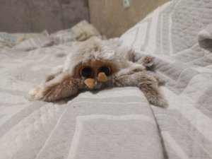 играем в укради бреинрот стрим