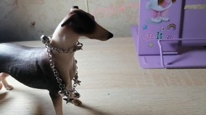 Кормешка.mp4