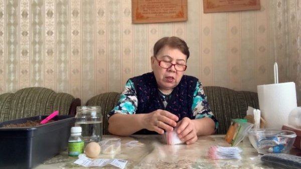 Получила посылку с семенами, от подруги. Посеяла сладкий перец , фон барон.