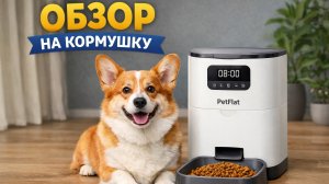 АВТОКОРМУШКА ДЛЯ ЖИВОТНЫХ | Обзор товаров