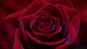 РИТУАЛ-ЧИСТКА 1 ЧАКРЫ - МУЛАДХАРА.