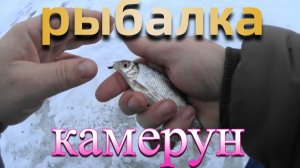 Учусь ловить  на безмотылку!!! реке ОКА