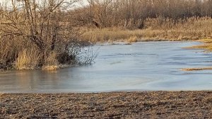 17-02-2026 На наш огород пришла большая вода