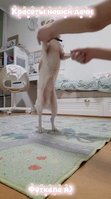 Красоты нашего района & дачи♡ смотреть онлайн