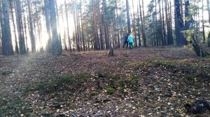 выживание в лесу ЧАСТЬ 52