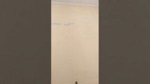 Добрый день