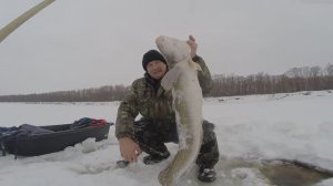 Рыбалка в Сибири. Часть 85.