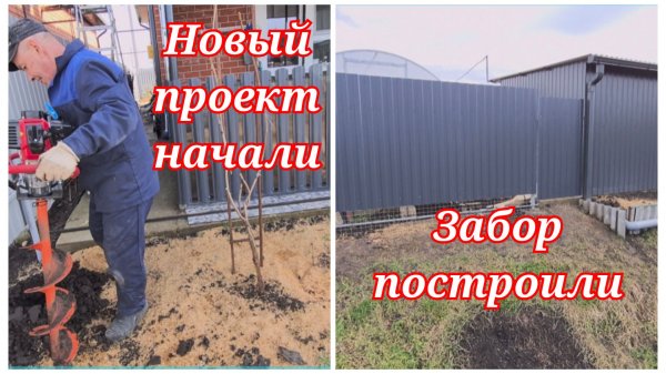 785ч🏡14-15.02.26 - Забор построили//Георгин на проращивание//Новый проект//Идея из Тик-Ток_/Зебра