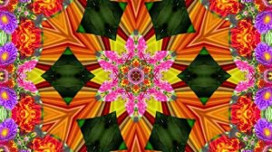 Футажи! Футаж Очаровательные фантастические пейзажи 2!