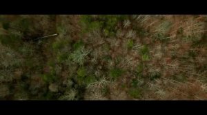 Официальный трейлер "The Ballad of Davy Crockett / The Ballad of Davy Crockett (2024)"