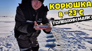 Корюшка в -23°C. Толбухин маяк. Эксперимент с прикормом!