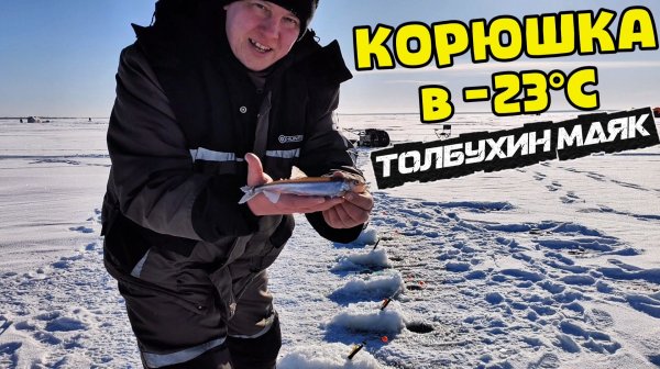 Корюшка в -23°C. Толбухин маяк. Эксперимент с прикормом!