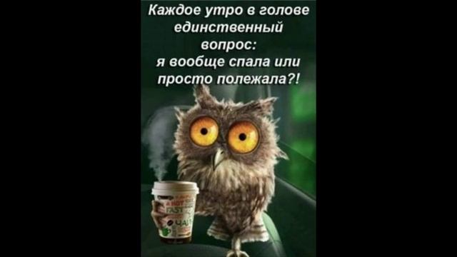 Разговоры с коллекторами 119