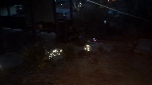 YouCut_20260215_235521536.mp4