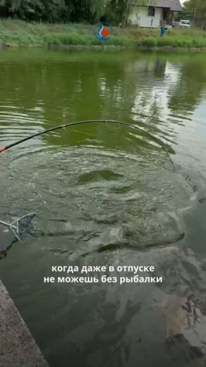 Рыбалка не знает границ, так же как и "Сибтермо" знает всё о потребностях рыболовов по всему миру