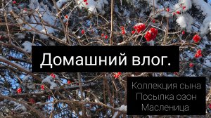 Домашний влог