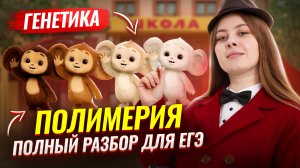 Полимерия для ЕГЭ по биологии | Новый тип 28 задач | Биология ЕГЭ | Умскул