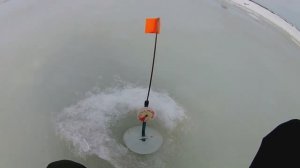 ЖОР ЩУКИ.Оставил жерлицы на ночь.ловля шуки на жерлицы.