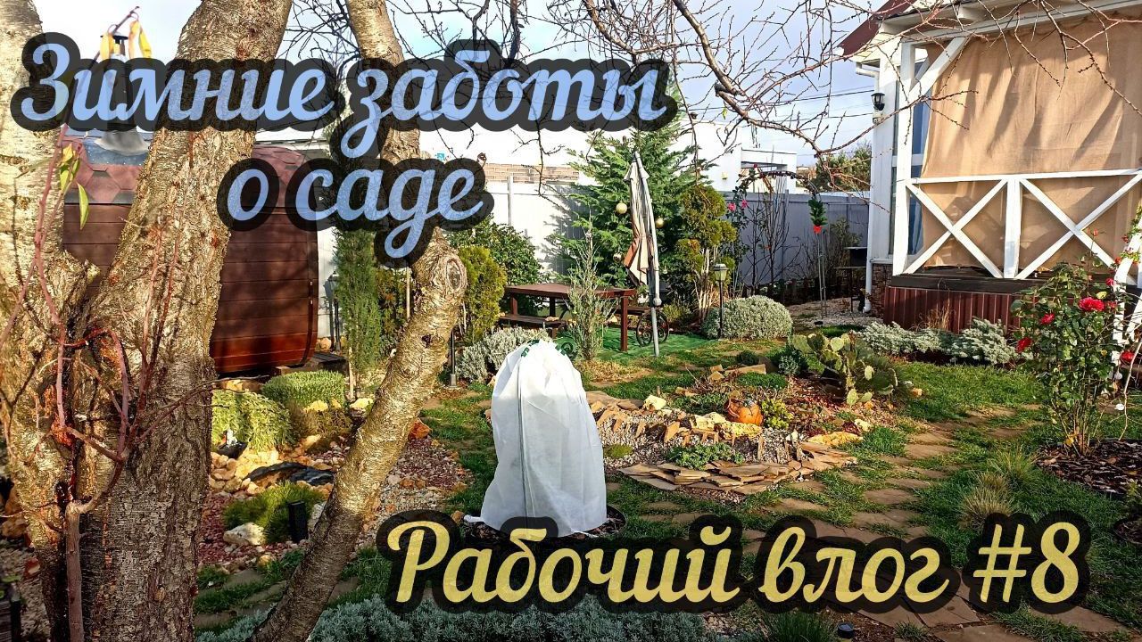 Тёплый конверт. Укрываем растения. Убираем абрикос. Работа в радость.